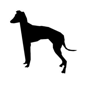 Meet your Posher, Grayton